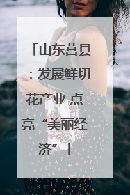 山东莒县：发展鲜切花产业 点亮“美丽经济”