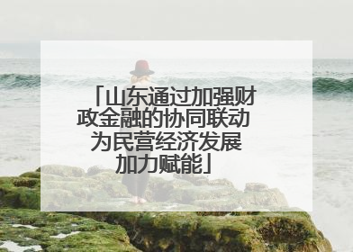 山东通过加强财政金融的协同联动 为民营经济发展加力赋能