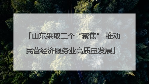 山东采取三个“聚焦” 推动民营经济服务业高质量发展