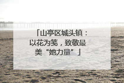 山亭区城头镇：以花为笺，致敬最美“她力量”