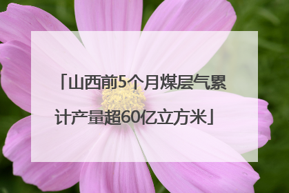 山西前5个月煤层气累计产量超60亿立方米
