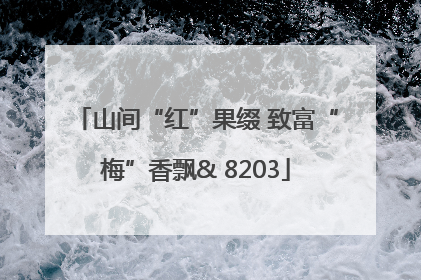 山间“红”果缀 致富“梅”香飘& 8203