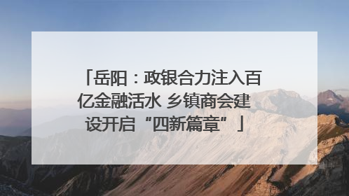 岳阳：政银合力注入百亿金融活水 乡镇商会建设开启“四新篇章”