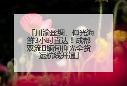 川渝丝绸、仰光海鲜3小时直达！成都双流⇌缅甸仰光全货运航线开通