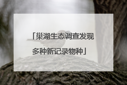 巢湖生态调查发现多种新记录物种