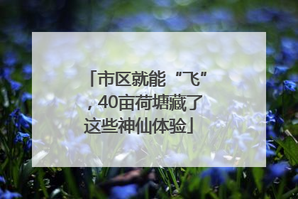 市区就能“飞”，40亩荷塘藏了这些神仙体验
