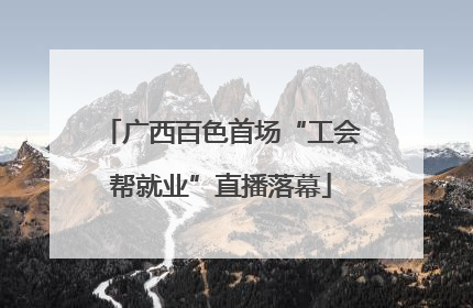 广西百色首场“工会帮就业”直播落幕