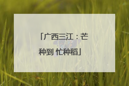 广西三江：芒种到 忙种稻