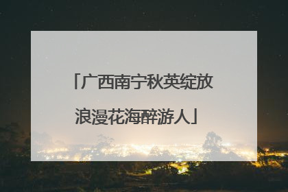 广西南宁秋英绽放 浪漫花海醉游人