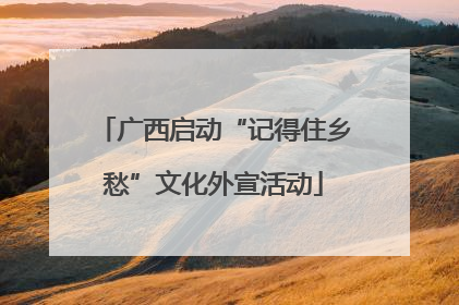 广西启动“记得住乡愁”文化外宣活动