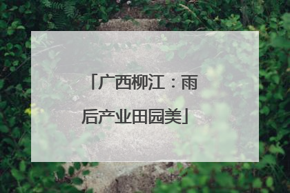 广西柳江：雨后产业田园美