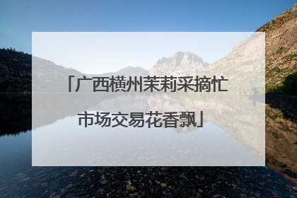 广西横州茉莉采摘忙 市场交易花香飘