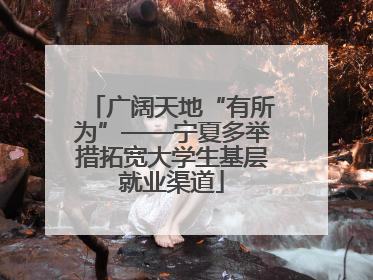 广阔天地“有所为”——宁夏多举措拓宽大学生基层就业渠道