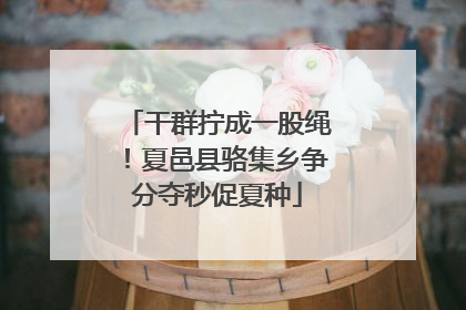 干群拧成一股绳！夏邑县骆集乡争分夺秒促夏种