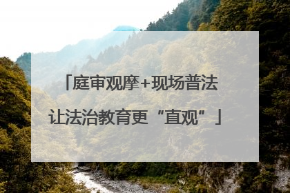 庭审观摩+现场普法 让法治教育更“直观”