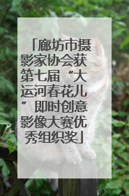 廊坊市摄影家协会获第七届“大运河春花儿”即时创意影像大赛优秀组织奖