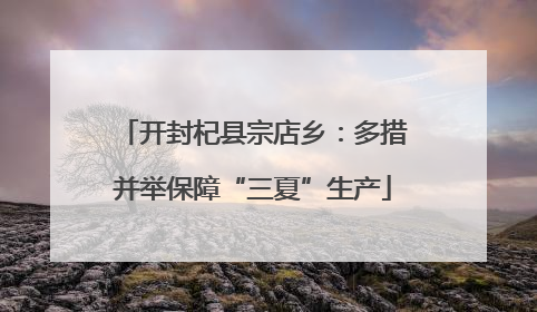 开封杞县宗店乡：多措并举保障“三夏”生产