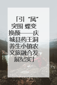 引“凤”突围 蝶变换颜——庆城县药王洞养生小镇农文旅融合发展纪实
