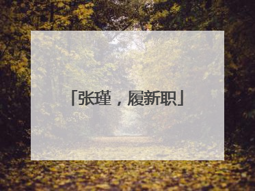 张瑾，履新职