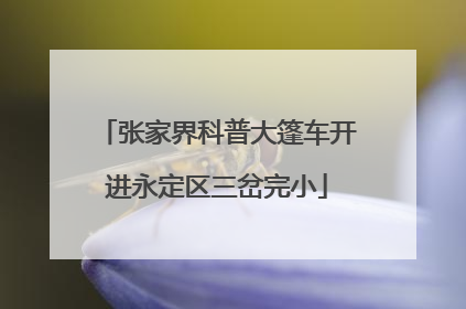 张家界科普大篷车开进永定区三岔完小