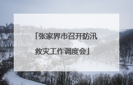 张家界市召开防汛救灾工作调度会