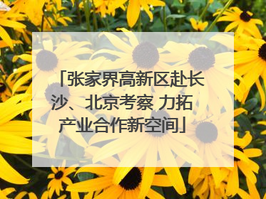张家界高新区赴长沙、北京考察 力拓产业合作新空间