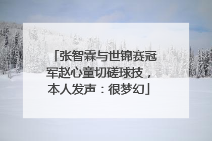 张智霖与世锦赛冠军赵心童切磋球技，本人发声：很梦幻