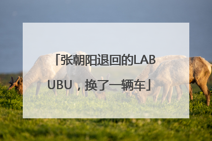 张朝阳退回的LABUBU，换了一辆车