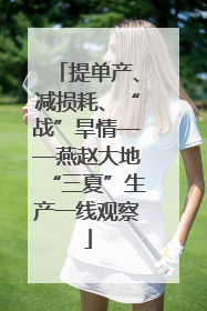 提单产、减损耗、“战”旱情——燕赵大地“三夏”生产一线观察