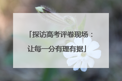 探访高考评卷现场：让每一分有理有据