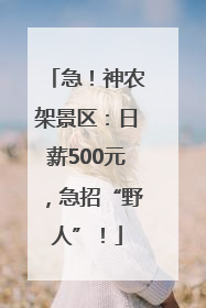 急！神农架景区：日薪500元，急招“野人”！