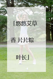 悠悠艾草香 片片粽叶长