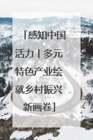 感知中国活力丨多元特色产业绘就乡村振兴新画卷