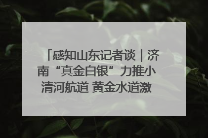 感知山东记者谈｜济南“真金白银”力推小清河航道 黄金水道激活区域经济新动能