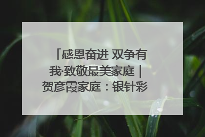 感恩奋进 双争有我·致敬最美家庭｜贺彦霞家庭：银针彩线绣出好日子