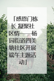感恩门栋长 凝聚社区情——杨园街道四美塘社区开展端午主题活动