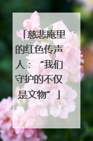 慈悲庵里的红色传声人：“我们守护的不仅是文物”