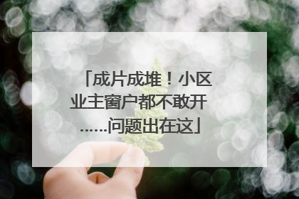 成片成堆！小区业主窗户都不敢开……问题出在这
