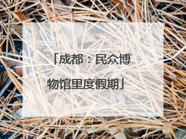 成都：民众博物馆里度假期