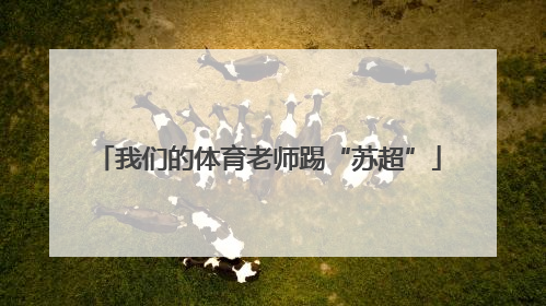 我们的体育老师踢“苏超”