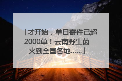 才开始，单日寄件已超2000单！云南野生菌火到全国各地……
