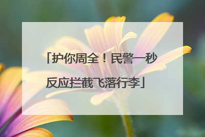 护你周全！民警一秒反应拦截飞落行李
