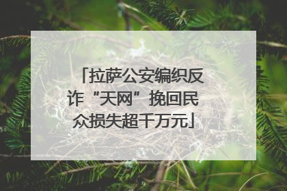 拉萨公安编织反诈“天网”挽回民众损失超千万元