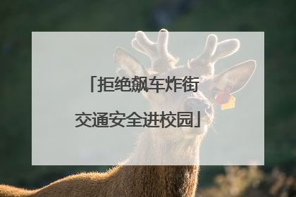 拒绝飙车炸街 交通安全进校园