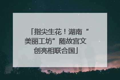 指尖生花！湖南“美丽工坊”随故宫文创亮相联合国