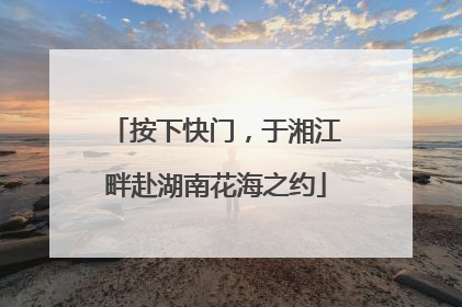 按下快门，于湘江畔赴湖南花海之约