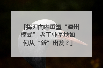 挥刃向内重塑“温州模式” 老工业基地如何从“新”出发？