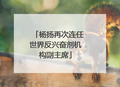 杨扬再次连任世界反兴奋剂机构副主席