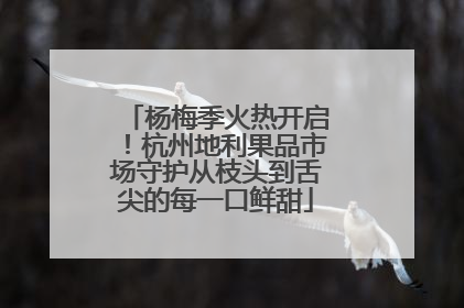 杨梅季火热开启！杭州地利果品市场守护从枝头到舌尖的每一口鲜甜