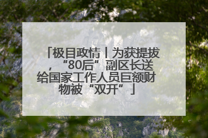 极目政情丨为获提拔，“80后”副区长送给国家工作人员巨额财物被“双开”